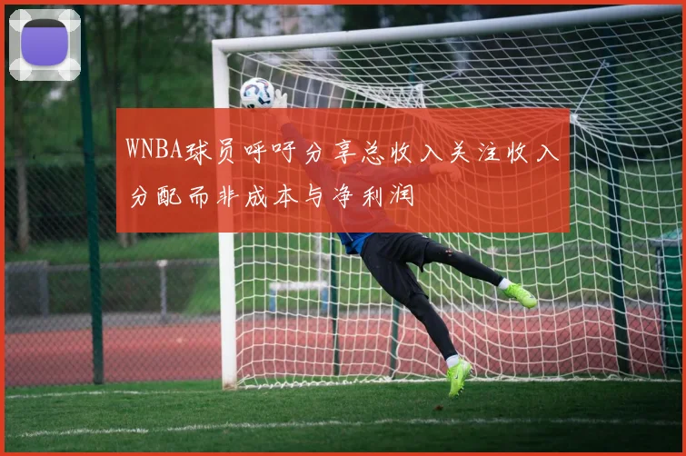 WNBA球员呼吁分享总收入关注收入分配而非成本与净利润