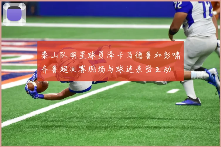 泰山队明星球员泽卡马德鲁加彭啸齐鲁超决赛现场与球迷亲密互动
